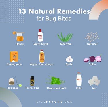 massage bites|The 13 Best Natural Remedies for Bug Bites, According to a Doctor.